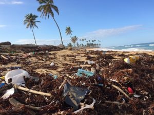 Plastikfrei leben lohnt sich