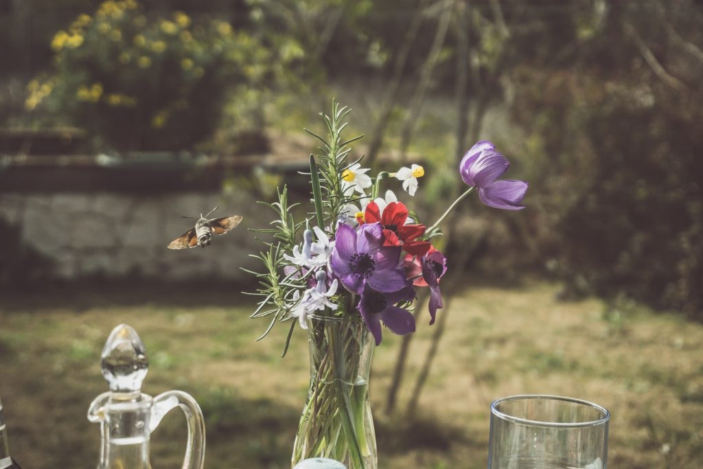 Die besten Anbieter im Blumen-Abo-Vergleich.