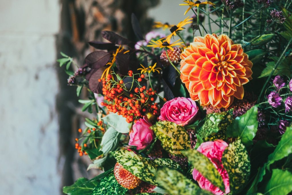 Blumenabo günstig holen? Kein Problem mit unseren Tipps!