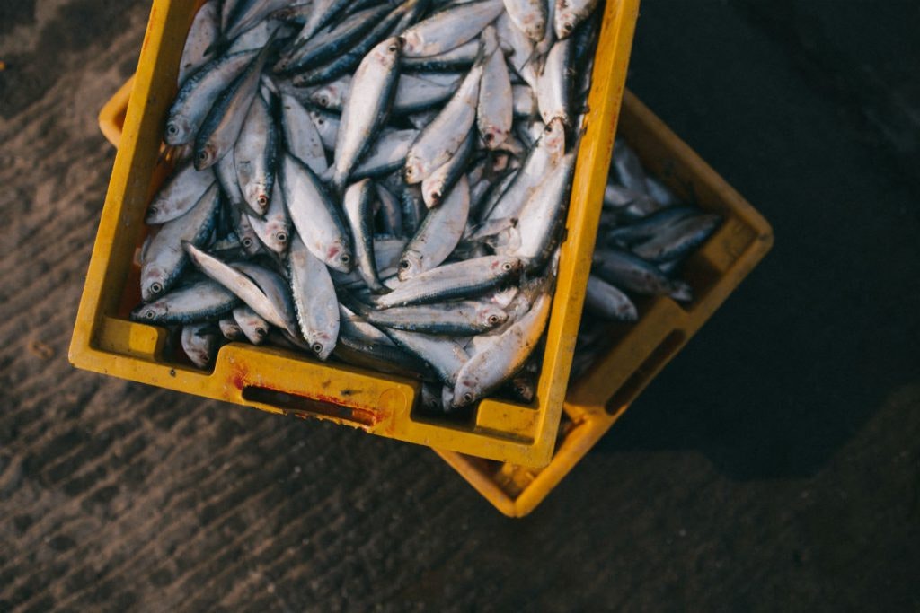 Stiege Fisch vom Hamburger Fischmarkt