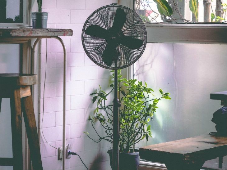 Wer gerne einen kühlen Raum hat, setzt auf einen Standventilator.