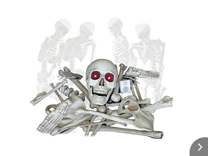 Skellet