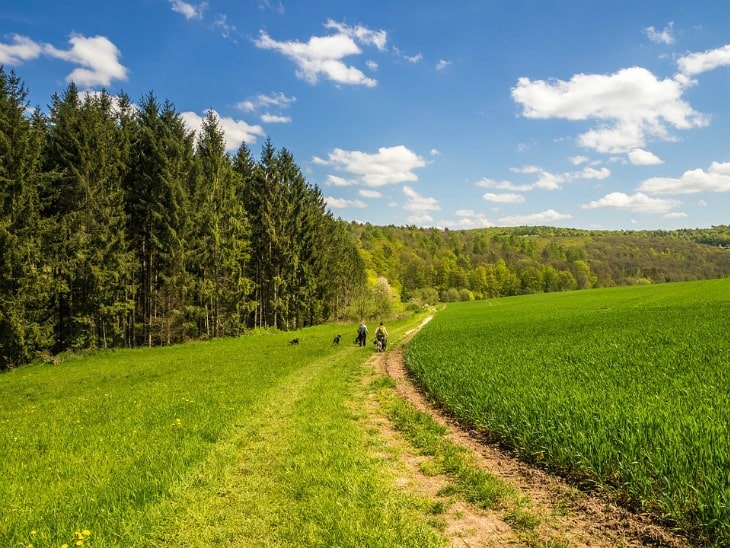 Wandern In Deutschland – Die 7 Schönsten Fernwanderwege | Perspektief