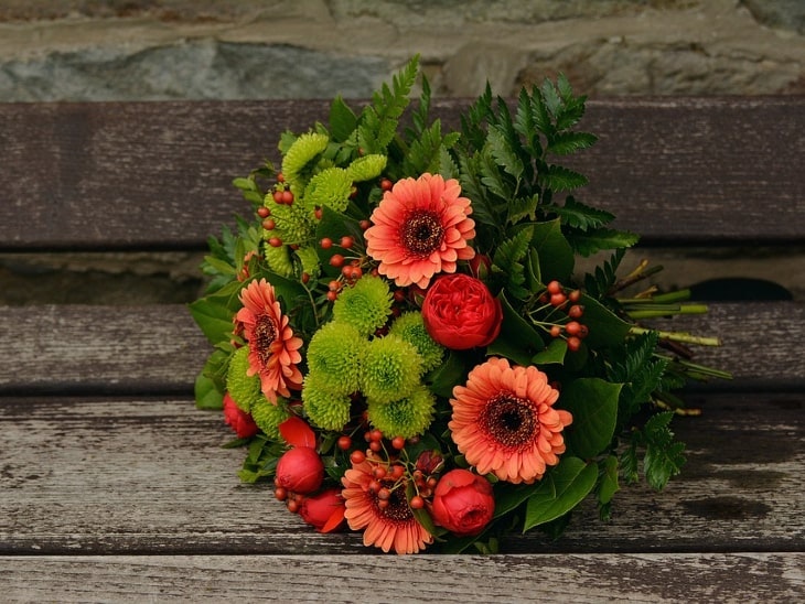 Herbstblumen