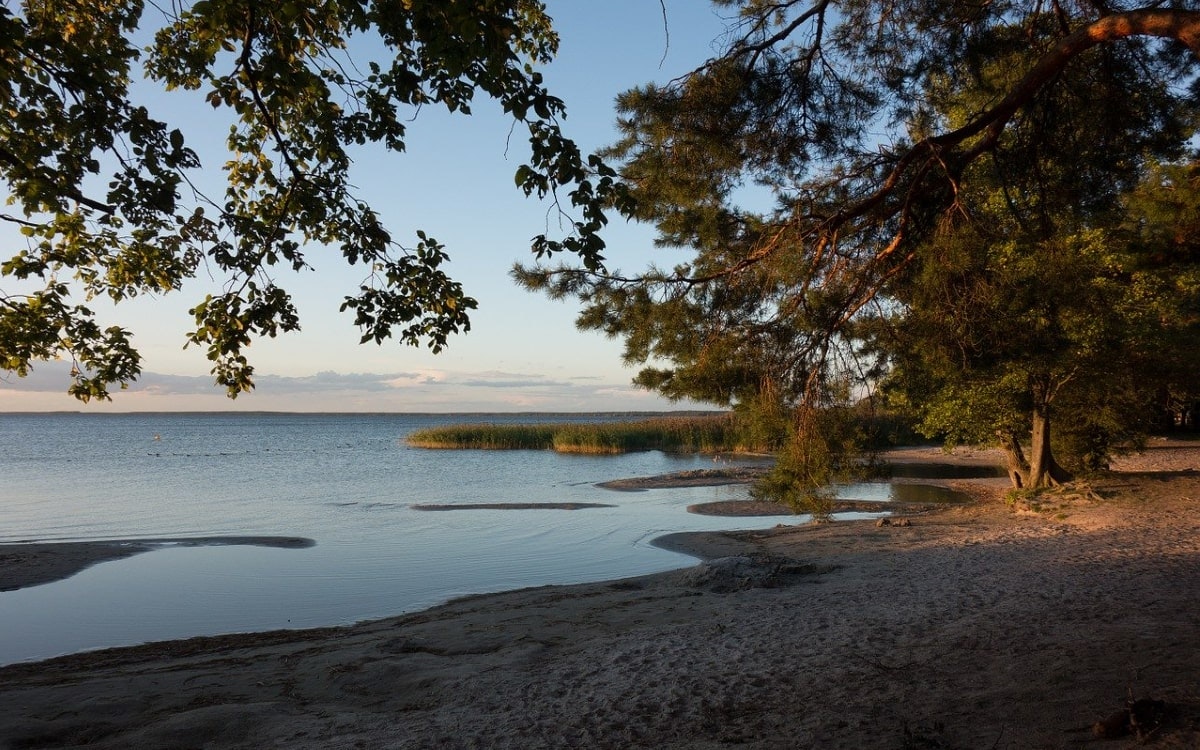 Nationalpark Müritz in der Abendsonne