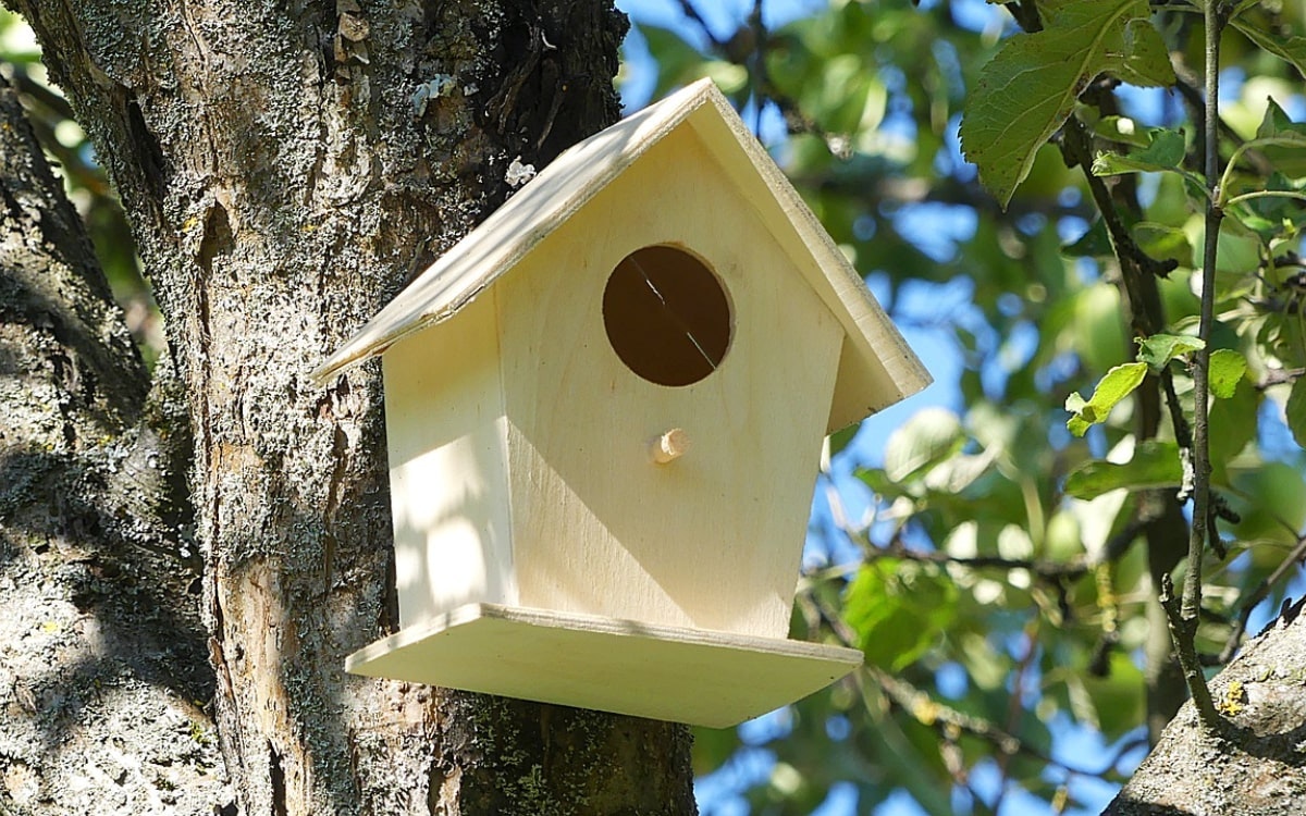Garten Dekorationsideen: Nistkasten aus Holz am Baum befestigt