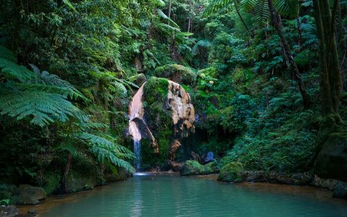 Heiße Quelle im Urwald auf der Azoreninsel Sao Miguel