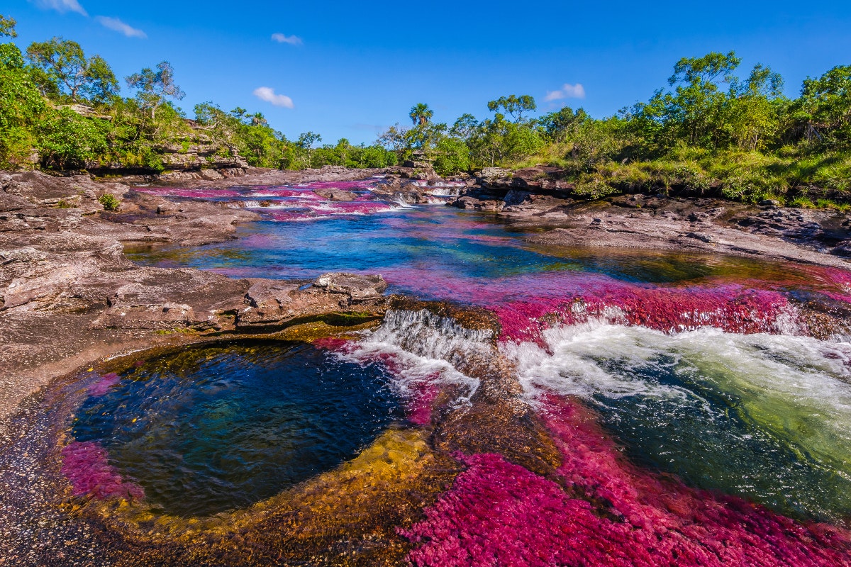 Der Caño Cristales in Kolumbien