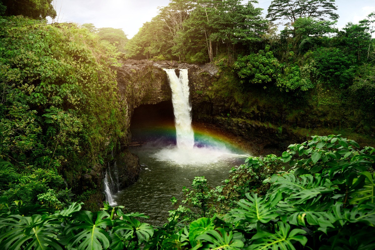Die Rainbow Falls in Hilo, Big Island.