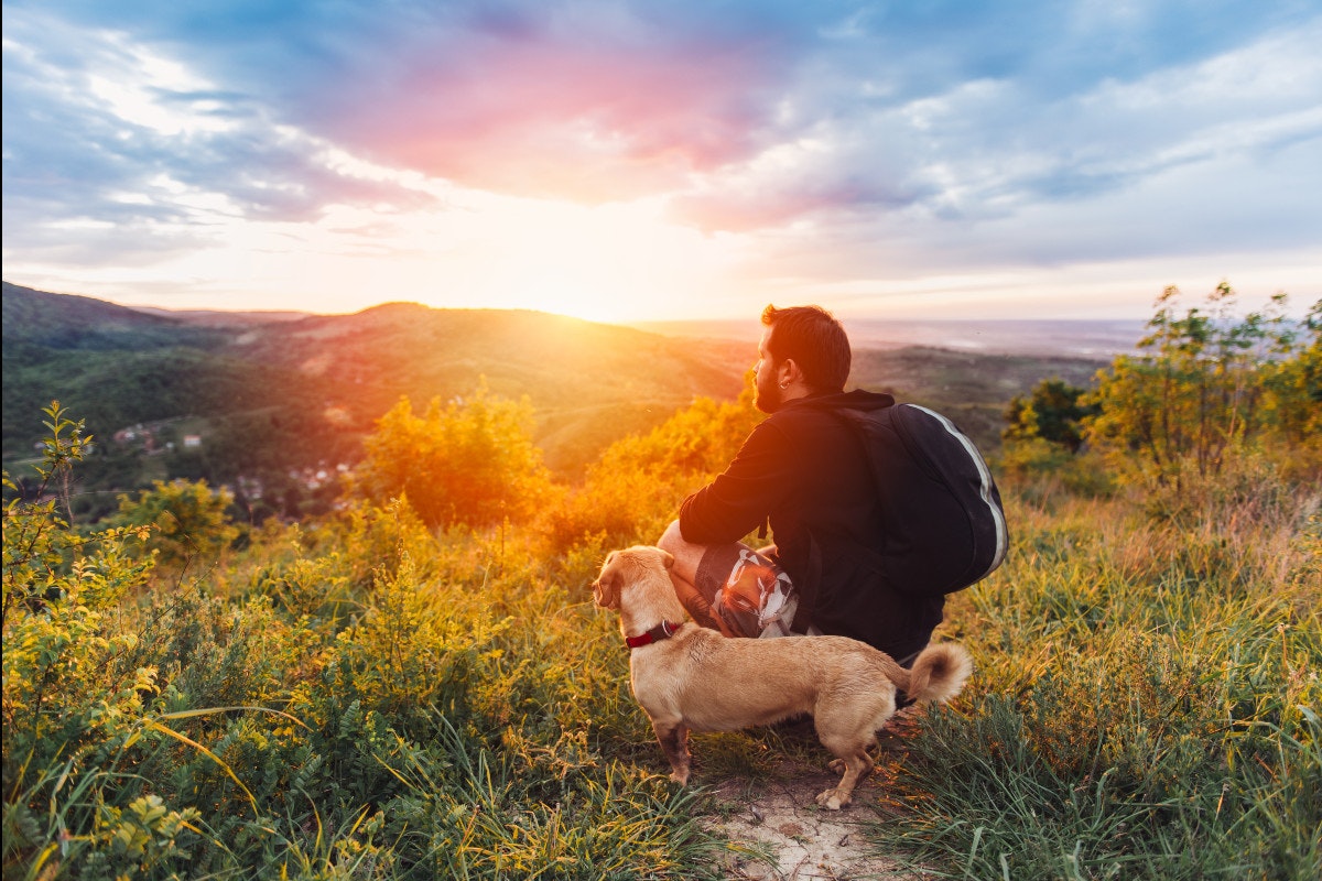 Ein Mann und ein Hund in den Bergen